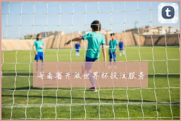 海南省开放世界杯投注服务
