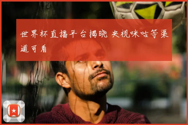 世界杯直播平台揭晓 央视咪咕等渠道可看