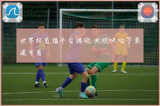 世界杯直播平台揭晓 央视咪咕等渠道可看