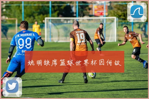 姚明缺席篮球世界杯因何故