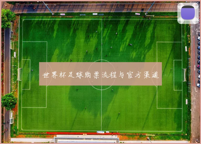 世界杯足球购票流程与官方渠道